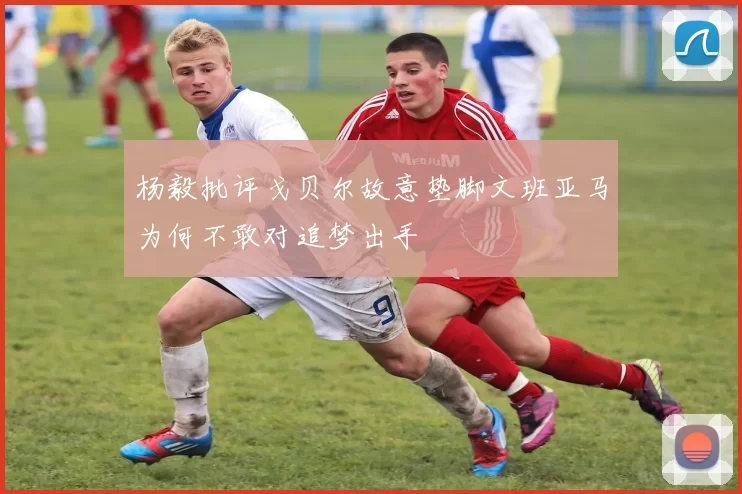 杨毅批评戈贝尔故意垫脚文班亚马为何不敢对追梦出手